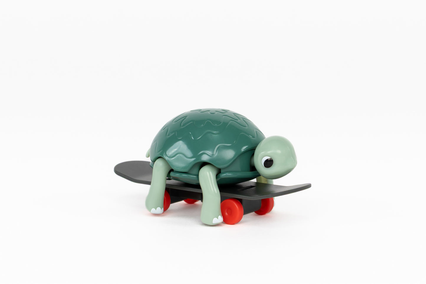 Skater Turtle