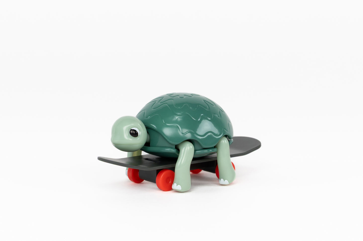 Skater Turtle
